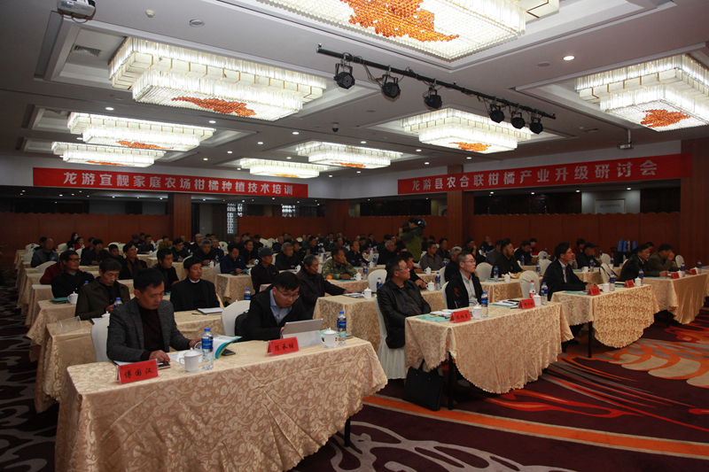 浙農(nóng)集團龍游柑橘產(chǎn)業(yè)精準幫扶技術(shù)研討會獲農(nóng)民好評