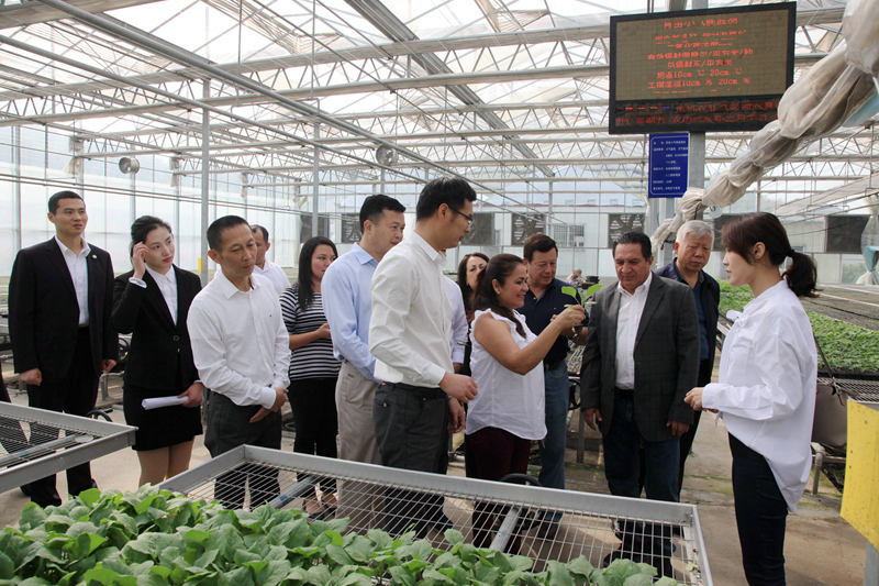 1557019146853042.jpg 奧蘭特斯(右三)參觀智能化育苗工廠_副本.jpg