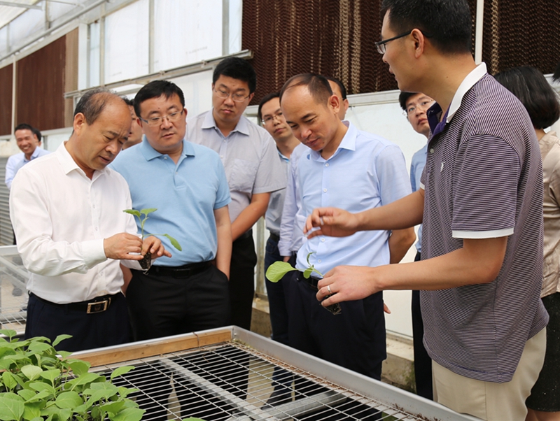 1559291489408885.jpg mmexport1559205212550(1).jpg