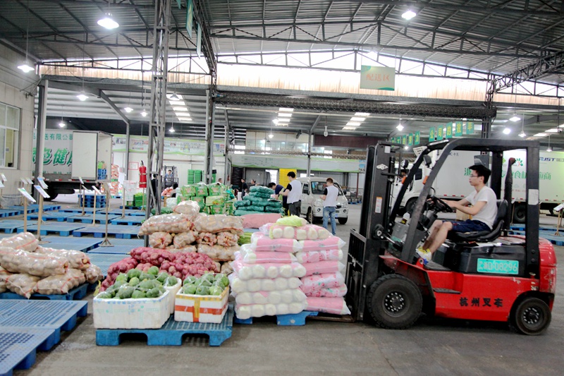 1619776215548205.jpg 浙農(nóng)茂陽_副本.jpg