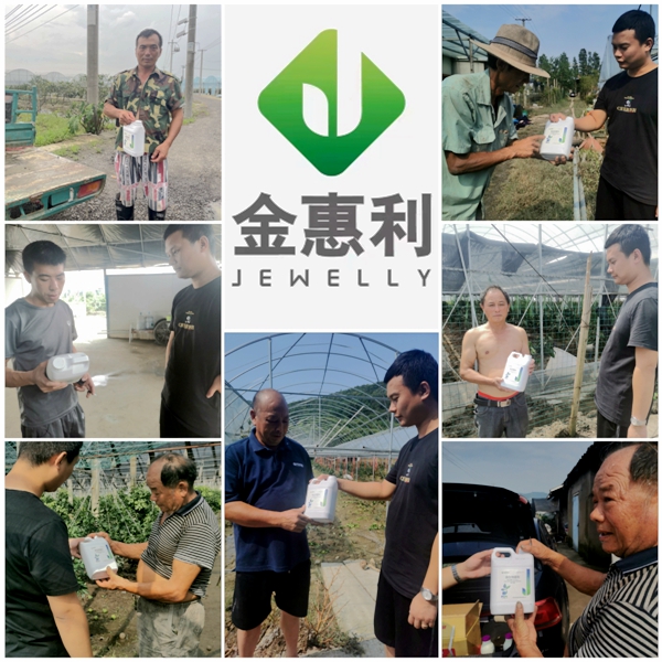 寧波金惠利為臺風(fēng)受災(zāi)地區(qū)&ldquo;農(nóng)友會&rdquo;成員送溫暖