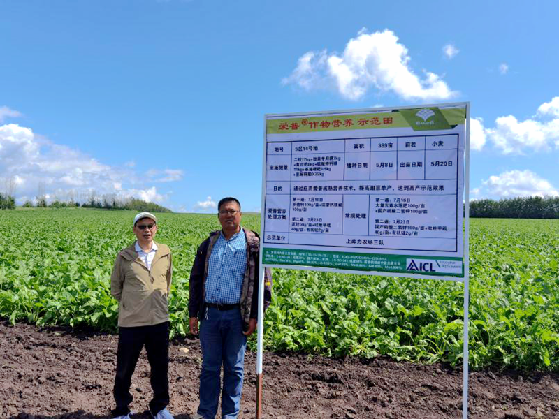 1628494563252590.png 圖片2_副本.png