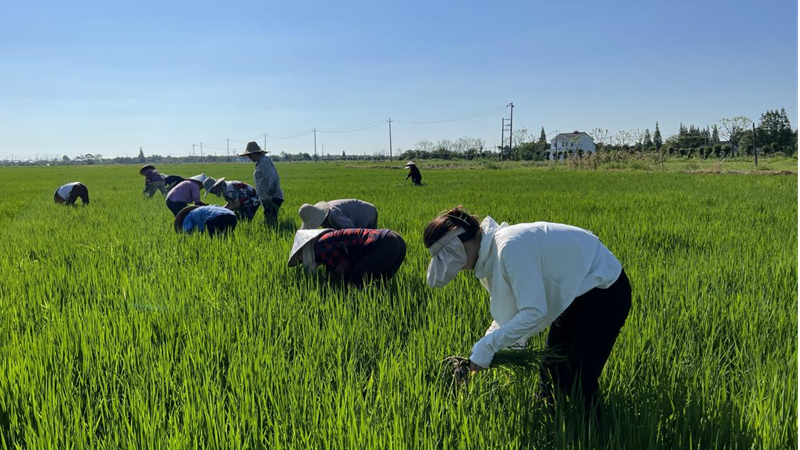 1663549078440316.png 圖片5_副本.png