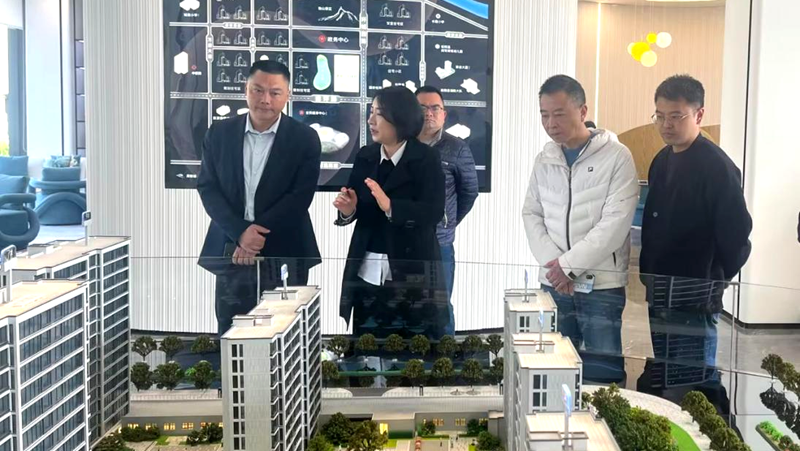 松陽(yáng)縣住房和城鄉(xiāng)建設(shè)局局長(zhǎng)潘毅調(diào)研美林&middot;南宸府