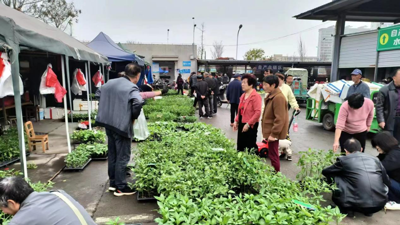 緩解&ldquo;賣菜難&rdquo; 建德農(nóng)批市場自產(chǎn)自銷臨時攤位投入使用