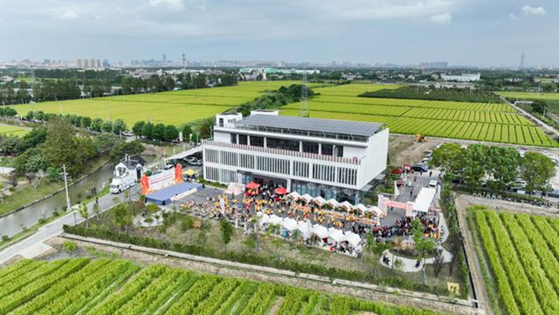 海寧馬橋服務(wù)中心舉行2024嘉興&mdash;海寧&middot;中國農(nóng)民豐收節(jié)系列活動(dòng)